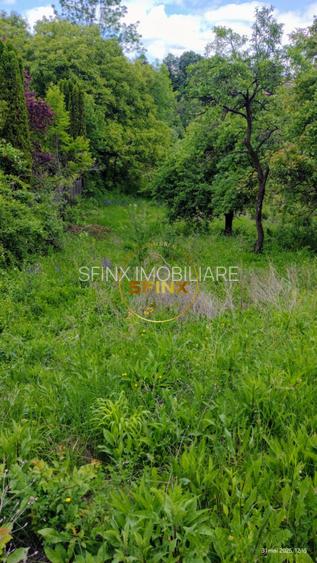 Teren intravilan de vanzare in Breaza – Strada Primaverii - 6