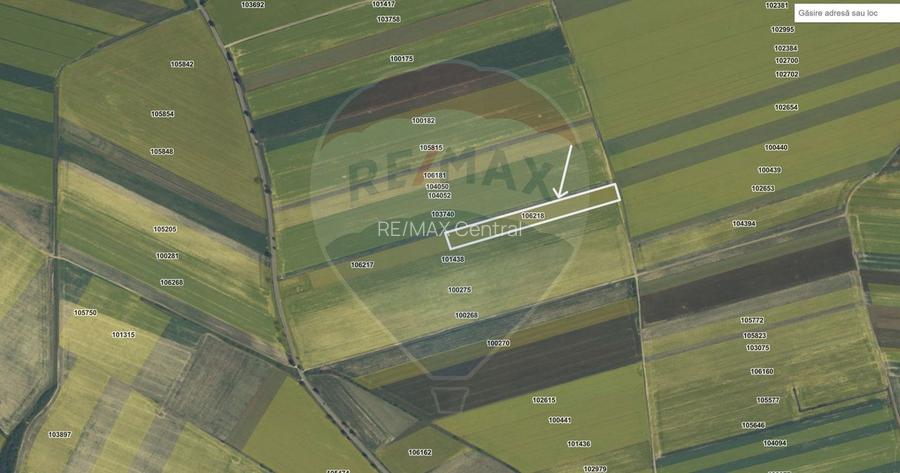 Teren extravilan 2 parcele de 9.750 mp - Satul Nou, comuna Hălchiu - 6