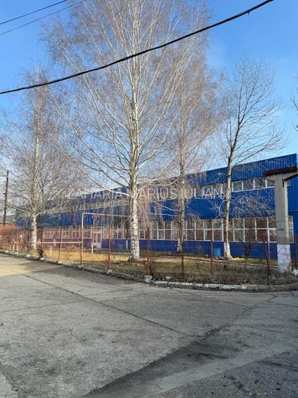 Vanzare/inchiriere FABRICA cu 3 HALE si BIROURI, zona industriala mun. VASLUI - 7