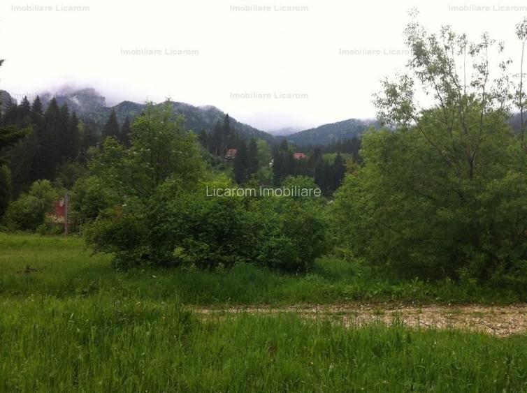 Teren intravilan Cotul Donului,pretabil Hotel/pensiune. - 3