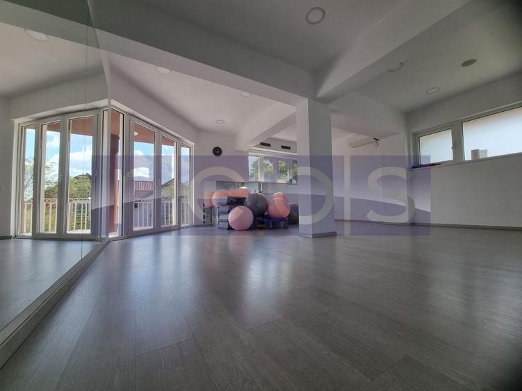 INCHIRIERE SPATIU COMERCIAL-2 VILE | ZONA MOGOSOAIA - 22