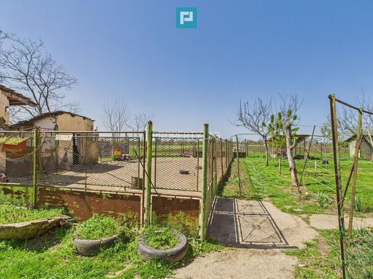 Casă cu grădină mare la 30 km de Timișoara - 23