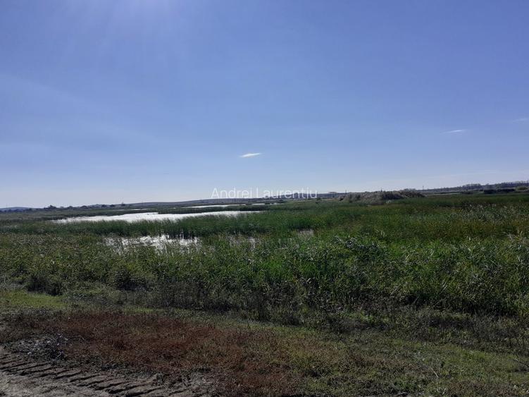 OCAZIE : INTRAVILAN com. MURIGHIOL - 19 euro/m.p. Deschidere Dunare  74 m. - 16