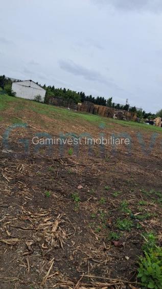 Teren intravilan, 8000 mp de inchiriat, Calea Borsului, Oradea - 2