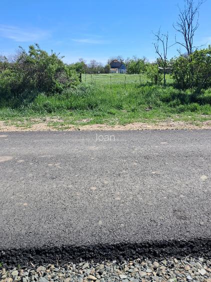 Valcani, proprietate cu casa taraneasca - 15