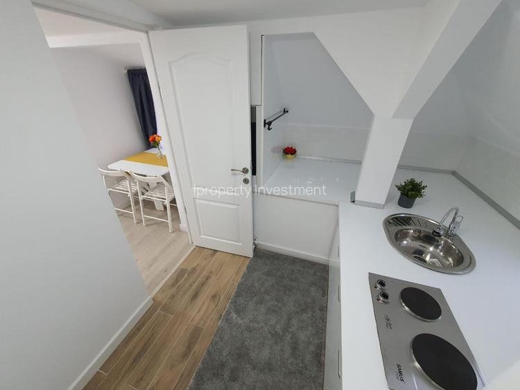 Parcul Carol I Garsoniera I Centrala Proprie I Pet Friendly I - 15