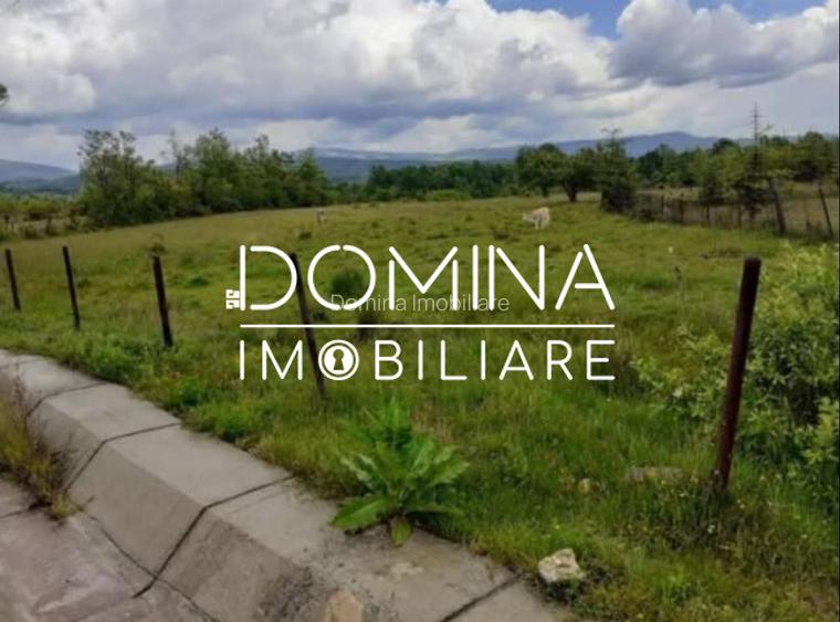 Vanzare teren 5000 mp, in comuna Crasna - sat Aninisul din Deal - 3