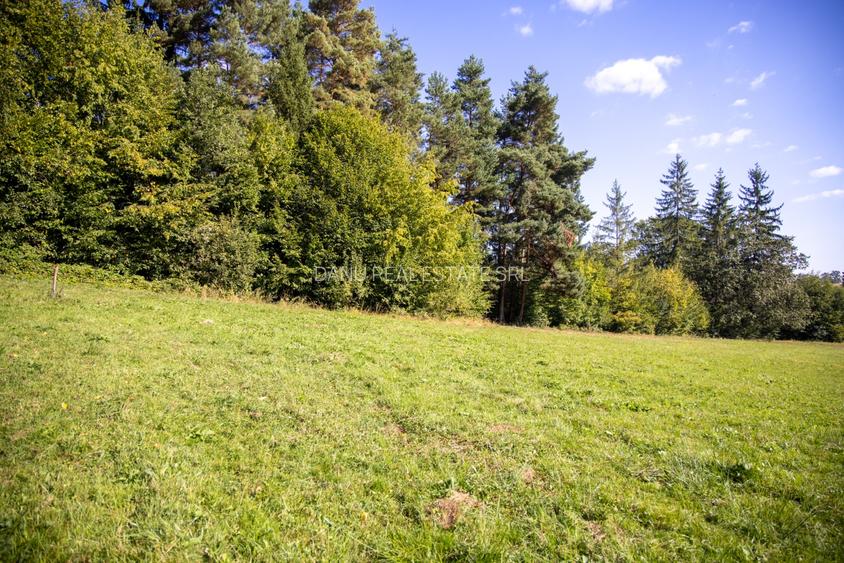 Investitie premium in turism-teren 6800mp langa lacuri Vulcan Brasov - 8