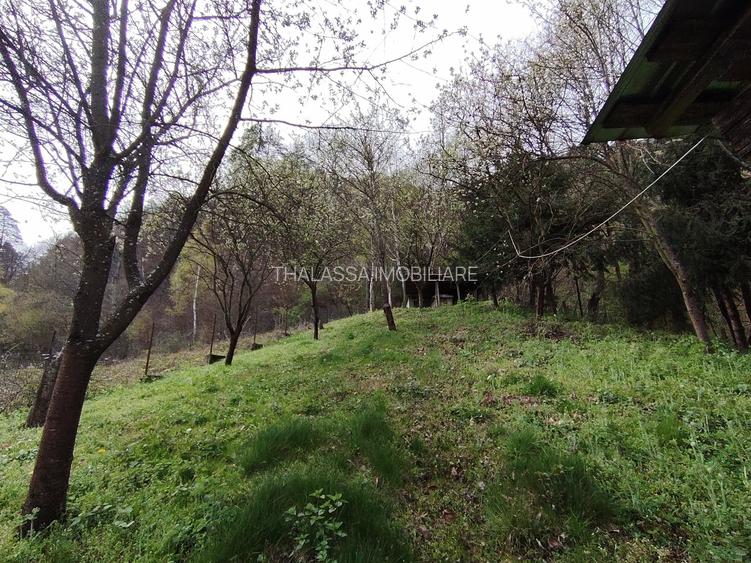 Proprietate de vacanta Valea Oltului - BREZOI - 19