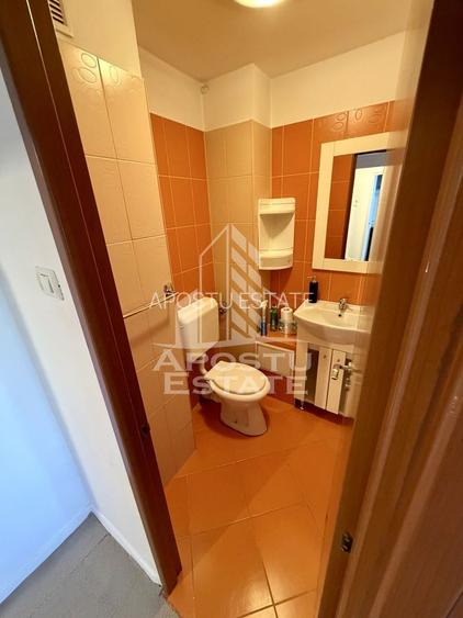 Apartament 3 camere, pet-friendly, de inchiriat, Dambovita, Timisoara - 9
