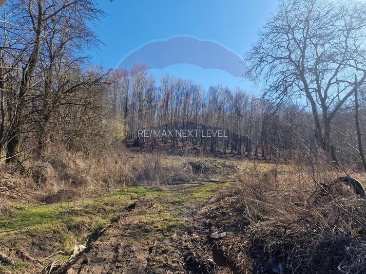 Teren de Vânzare în Pâncești (Sascut) - 14