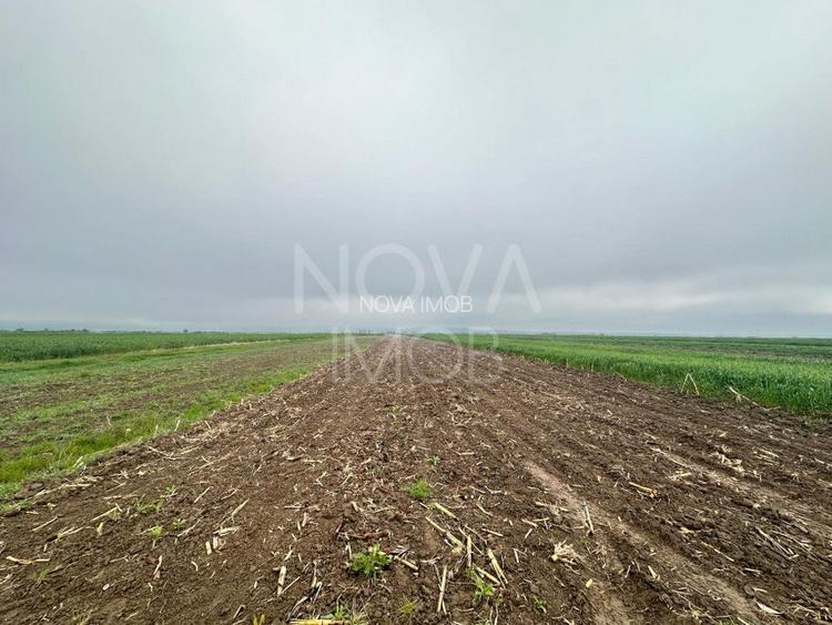 Teren extravilan de vanzare - Gura Raului - 2