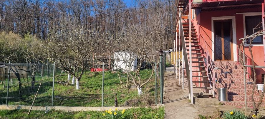 Casă P+M cu 1.558 mp teren, livadă și garaj | Barza, Gorj Comision 0% - 12