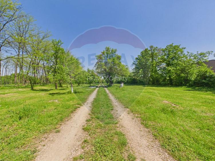 Proprietate unica, deschidere generoasa directa la lacul Snagov - 31