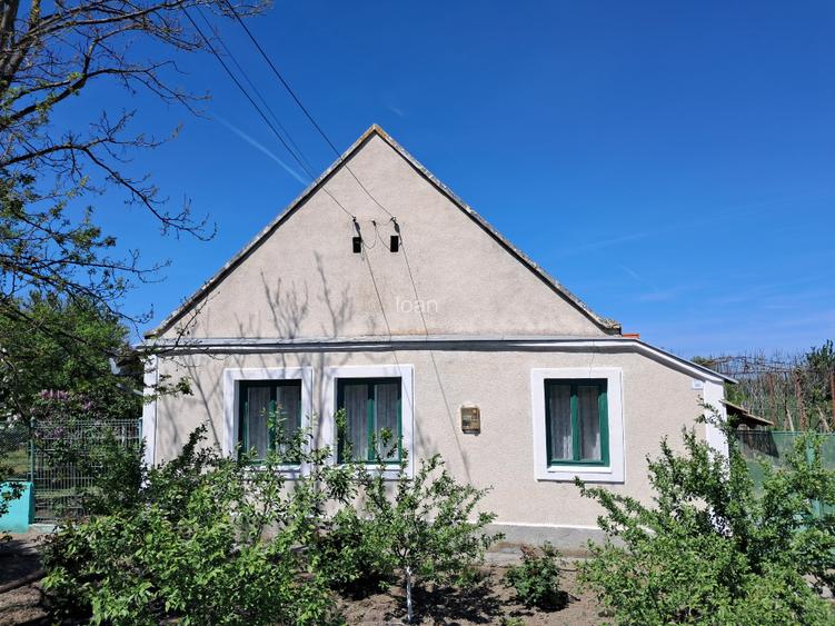 Valcani, proprietate cu casa taraneasca - 2