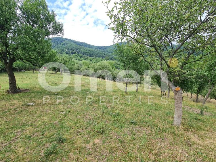 Teren de vânzare | Suprafață 10.040 mp | 2.500 € / ar | Strada Nucului - 5