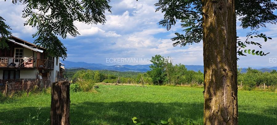 Bughea de Jos-Imparatia Mlacilor, teren de vanzare, 3000 mp, 27 ml deschidere - 6