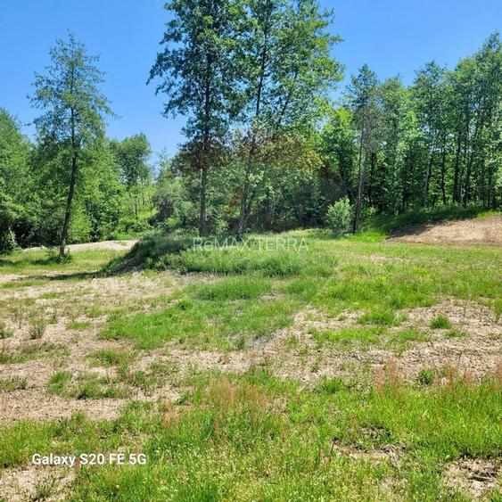 Oază de liniște – teren de vânzare 6.725 mp - 2