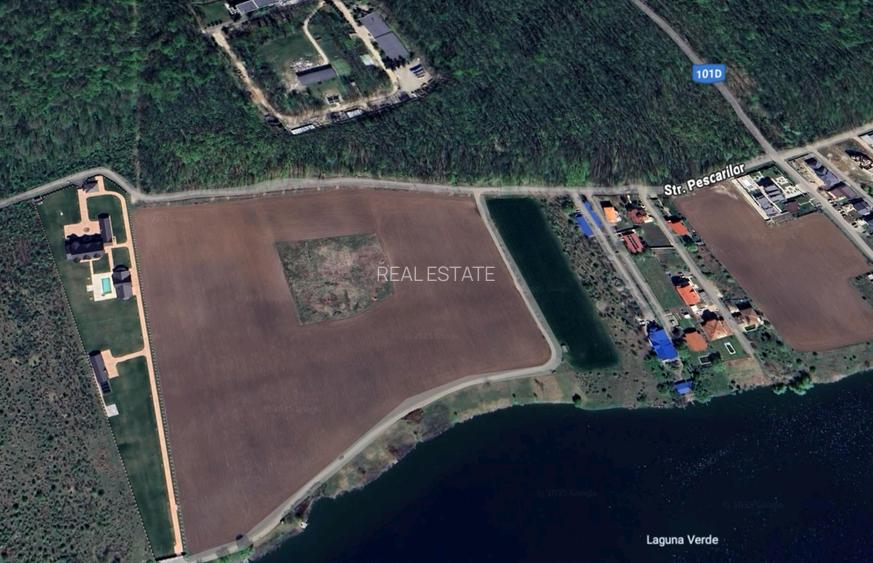 Teren de vânzare cu acces direct la lac, între pădure și apă – Moara Vlăsiei - 3