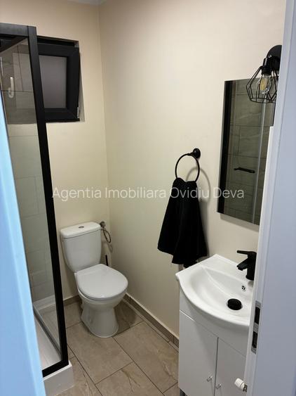 Vand sau inchiriez proprietate in Deva, Santuhalm compusa din 4 case insiruite - 9