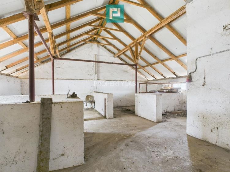 Hală pentru producție / fermă zootehnică  - Variaș - 11
