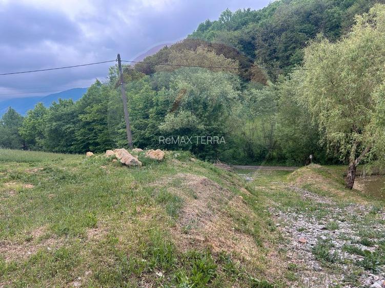 Teren 2,000mp Copalnic-Manastur / Strada Principala - 3