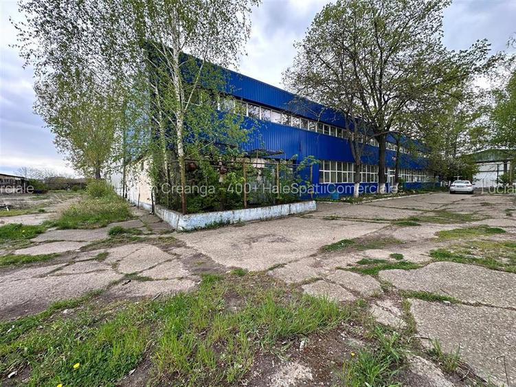 Hala productie, depozitare Vaslui, 5132mp - 12