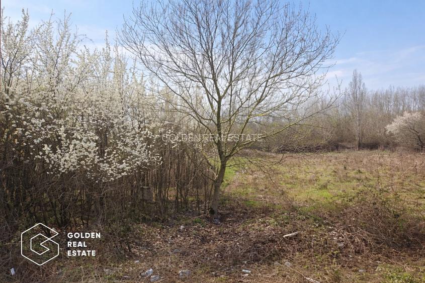 Teren intravilan, 1080 mp, Lipova - 4