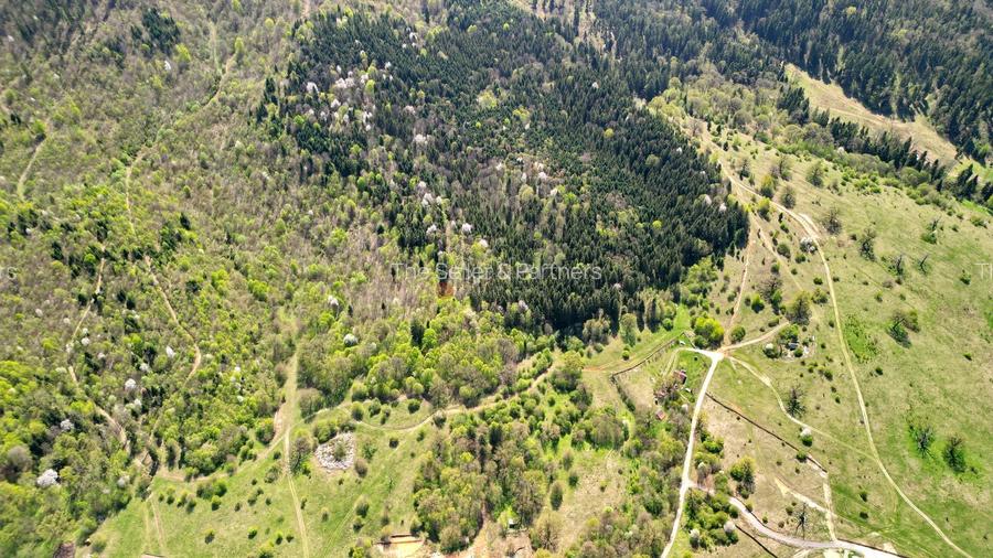 Teren Intravilan parcele 1000mp - 19