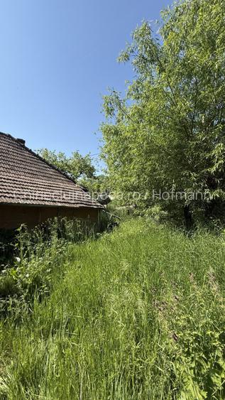 Teren cu pârâu si casa batraneasca, 25 min de Cluj, zona Boju/Cojocna - 5