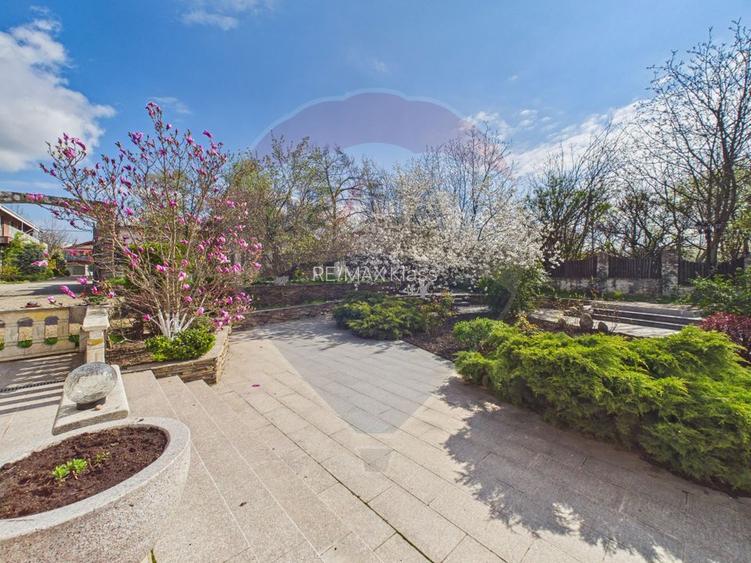 Oportunitate unica de investitie – SPA complet echipat | Mogosoaia - 2