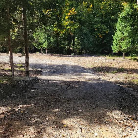Casă mobilă + teren 1000 mp, în Drăguș, la poalele Munților Făgăraș