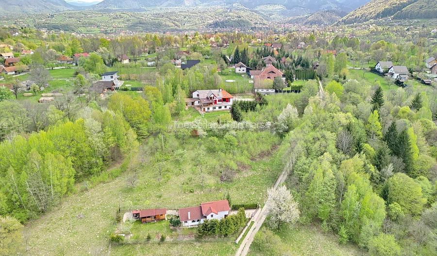 Teren intravilan Bran- Predelut - 33