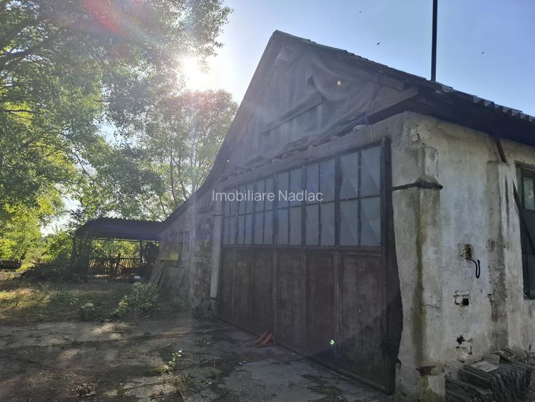 Ferma cu teren agricol de vanzare in Nadlac - 19