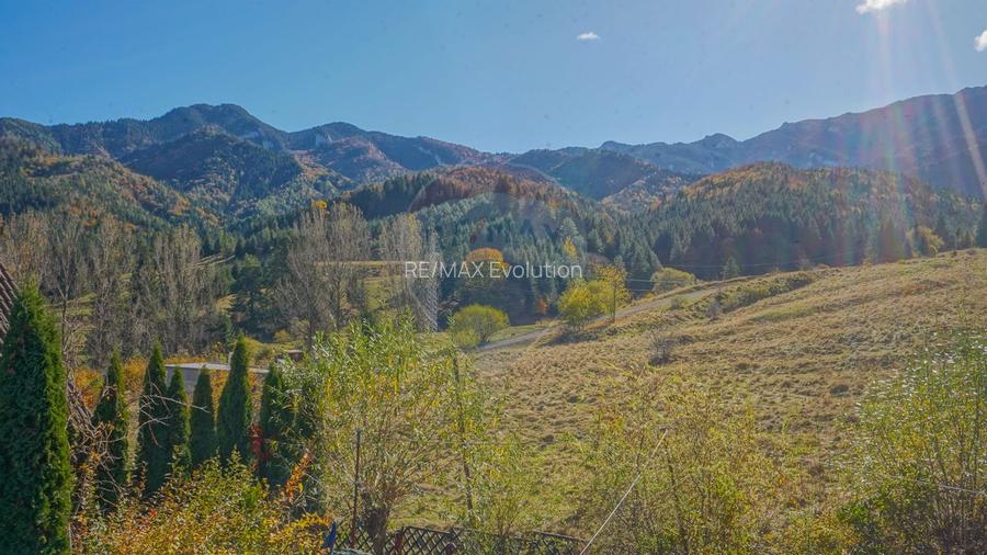 CASA INCONJURATA DE NATURA | DIN BUSTENI | 8 CAMERE | TIMISUL DE JOS - 44