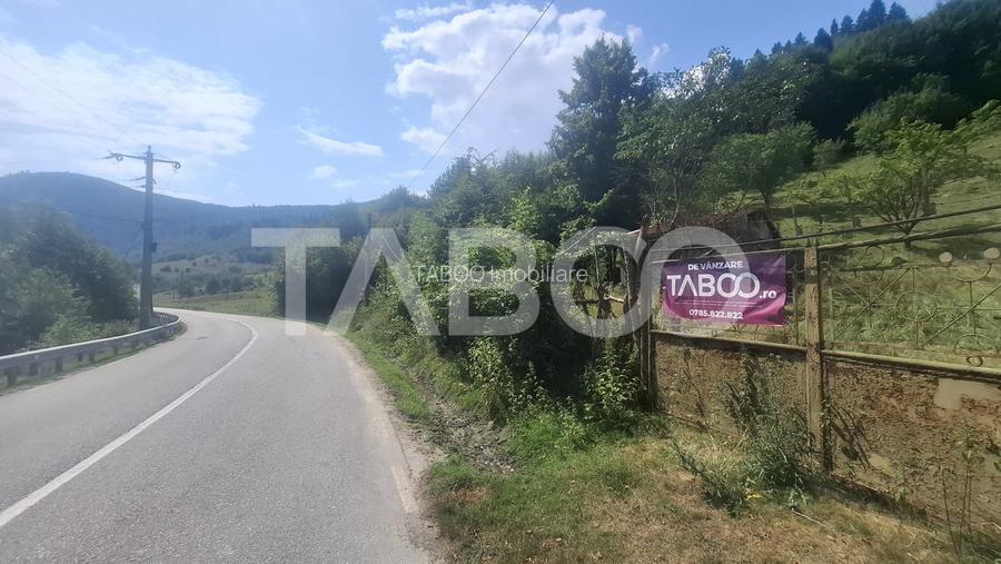 Teren 2500 mp Curmatura Rasinari 40 m deschidere la drum asfaltat - 6