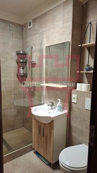 Garsoniera renovata etaj intermediar Gheorgheni Brancusi Diana - 14