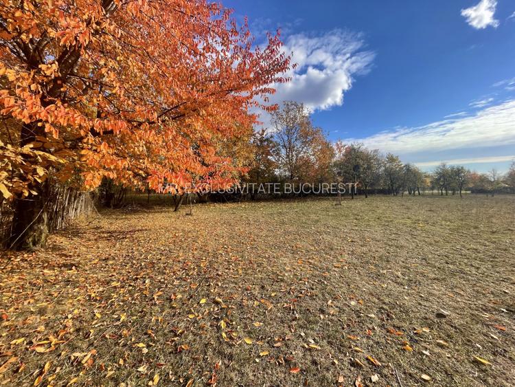 Teren Premium 1559 mp, Brebu Manastirei - Refugiu Montan la 120 km de Bucuresti, - 5