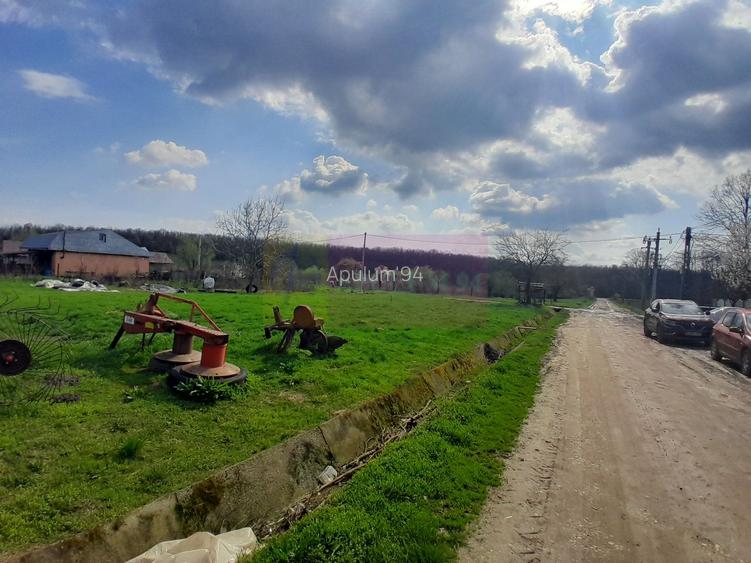 DE VANZARE TEREN 3400 MP IN SAT PODU ILFOVAT / COM BUTURUGENI (GR) - 2