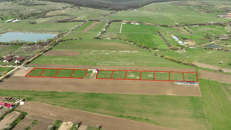 RECO , teren intravilan, Ineu,Bihor - 4