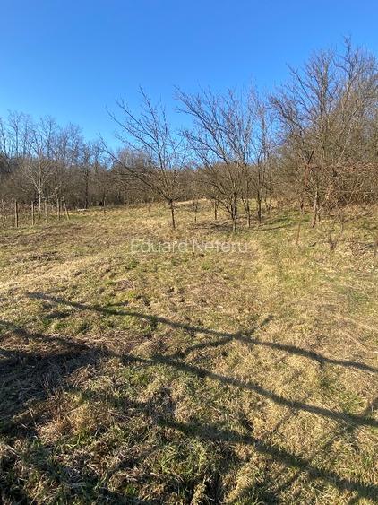 Oferta urgenta! Teren 2519 mp + constructie 68 mp — Pret atractiv - 7