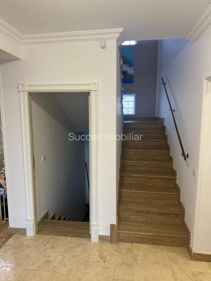 BRANESTI-VILA SUPERBISSIMA,LA LAC,PISCINA,FANTASTICA,UNICAT,700000 EURO - 41