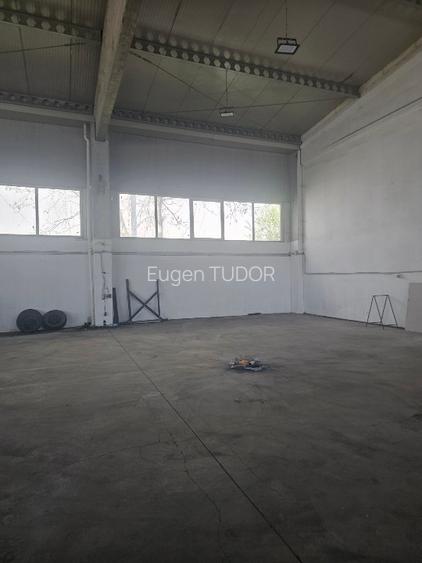 Hala de inchiriat. Depozitare sau productie. - 5
