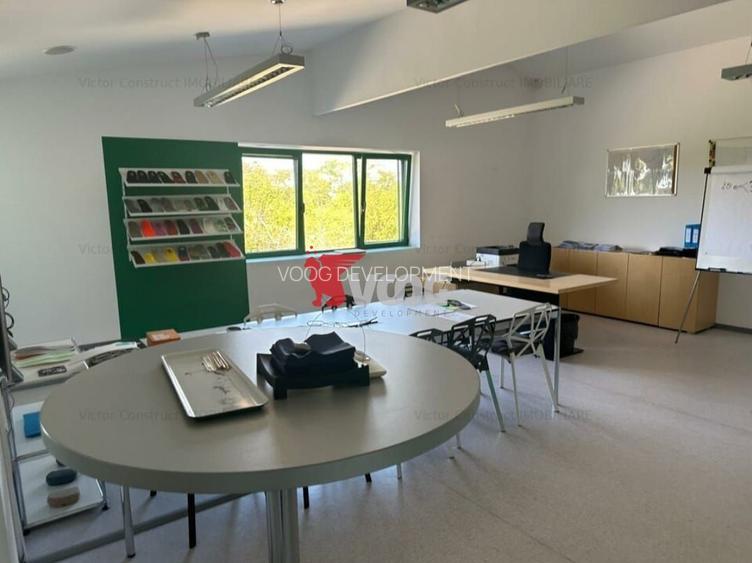 Proprietate Industriala 7000 mp hala in Calea Sagului Timisoara - 12