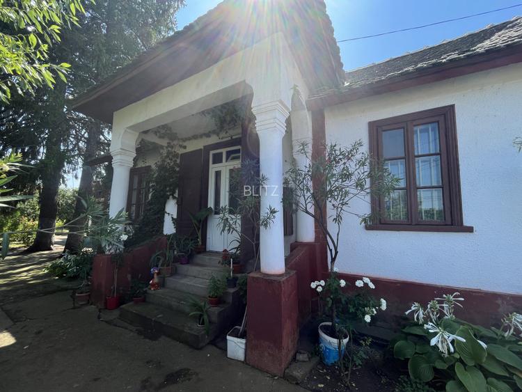 Popas La Doi Brazi - magazine, bar, terasă, casă boierească, grădină și piscină - 14