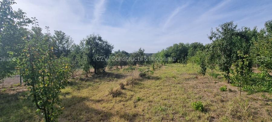 Teren 2000 mp de vânzare – Comana, deschidere la lac, aproape de Parcu - 6