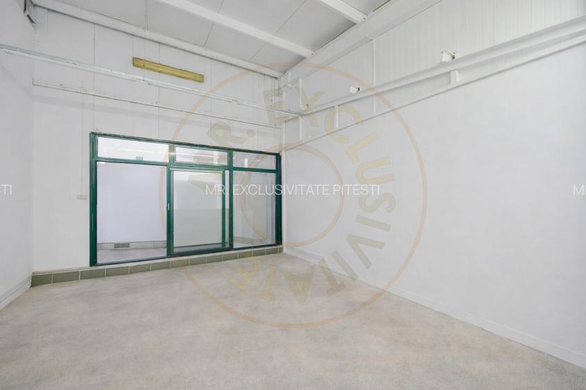 Hala industriala / spatiu comercial – VANZARE – DN 65B – Bradu-Pitesti! - 7