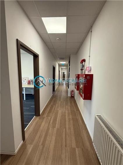 Royal Imobiliare-  Spatiu Industrial Zona Exterior Vest - 23