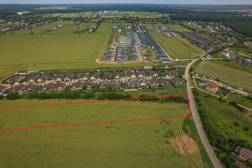 Teren intravilan, Balotești, Strada Cameliei 36, 10.000 mp - 3