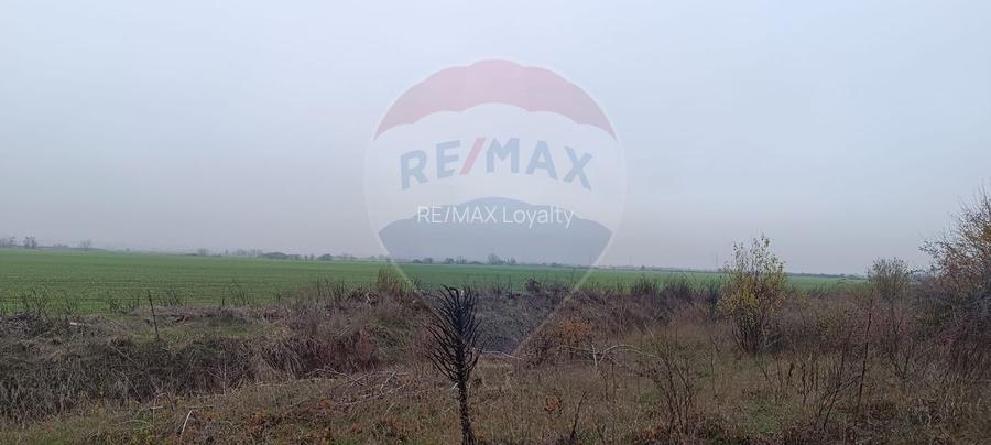 Teren  Balotesti - 4